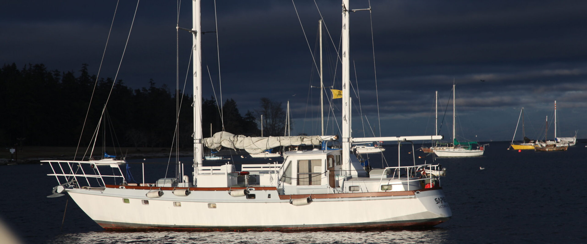 juno sail boat